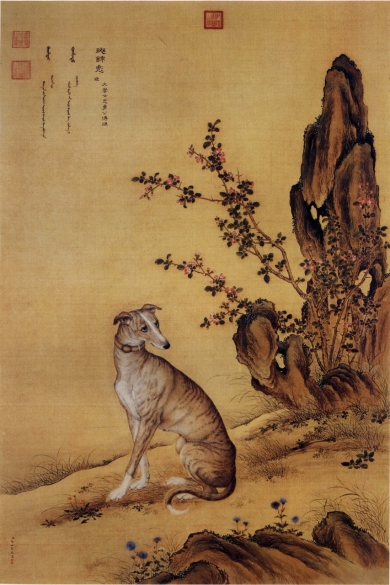 Giuseppe Castiglione, Picture of Banjinbiao (斑锦彪), a Chinese greyhound, from Ten Prized Dogs Album.