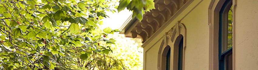 Detail of one of the old merchant houses on Symonds St with leafy foliage